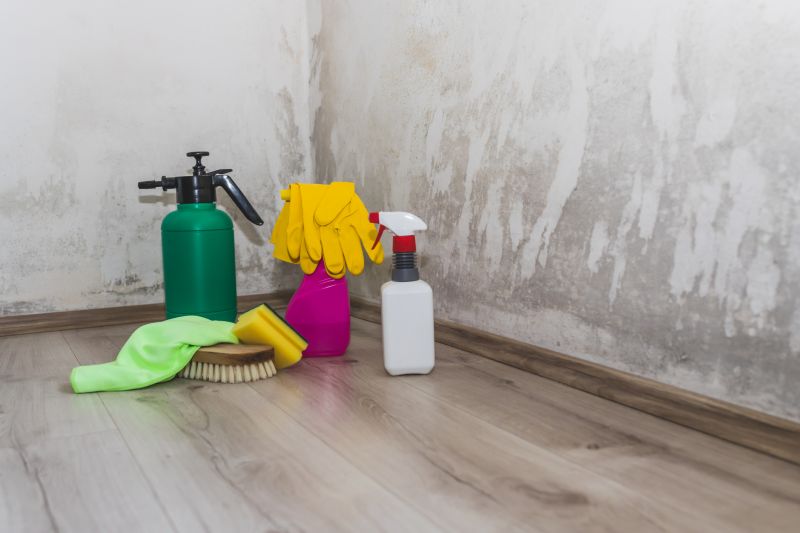 Mold Restoration in West Palm Beach, FL