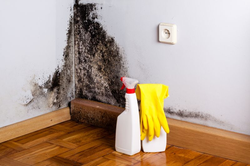 Black Mold Remediation in Bergen County, NJ