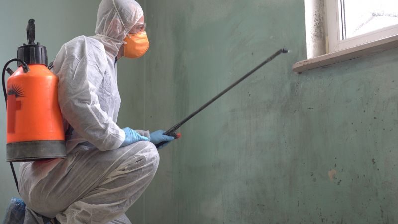 Black Mold Removal in Bergen County, NJ
