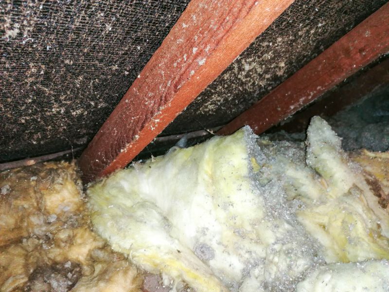 Cost of Vermiculite Insulation Removal — Cost of Vermiculite Insulation Removal