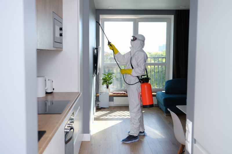 Mold Cleanup Service in Dallas, TX