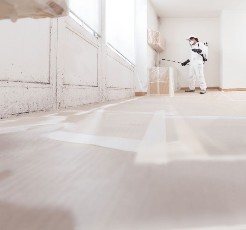 Mold Remediation Service in Boca Raton, FL