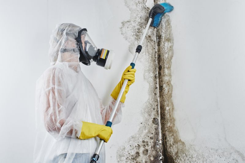 Mold Removal in Frisco, TX