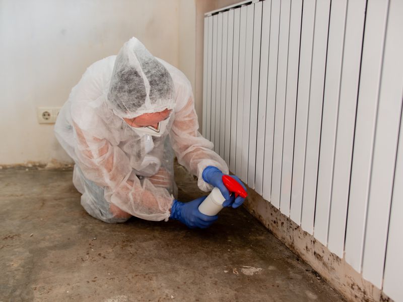 Mold Restoration in Dallas, TX