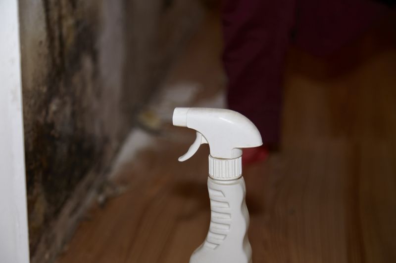 Mold Treatment Service in Broward County, FL