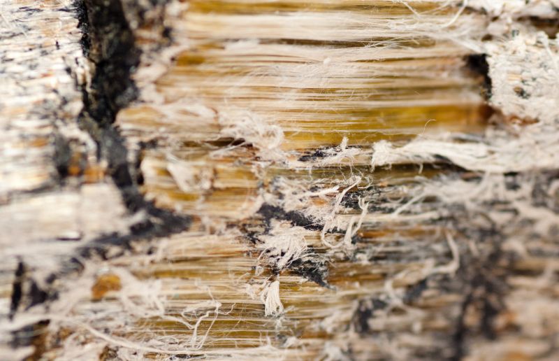 Vermiculite Insulation Removal in Fall