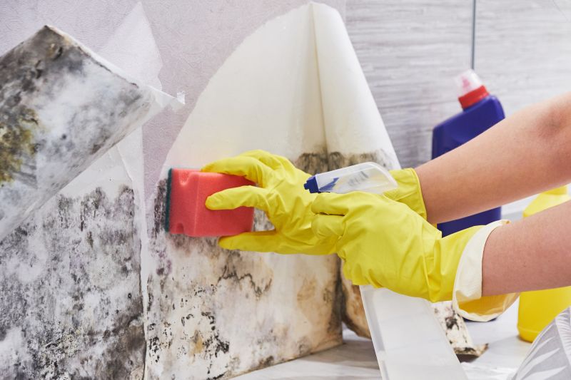 White Mold Mitigation in Fort Worth, TX